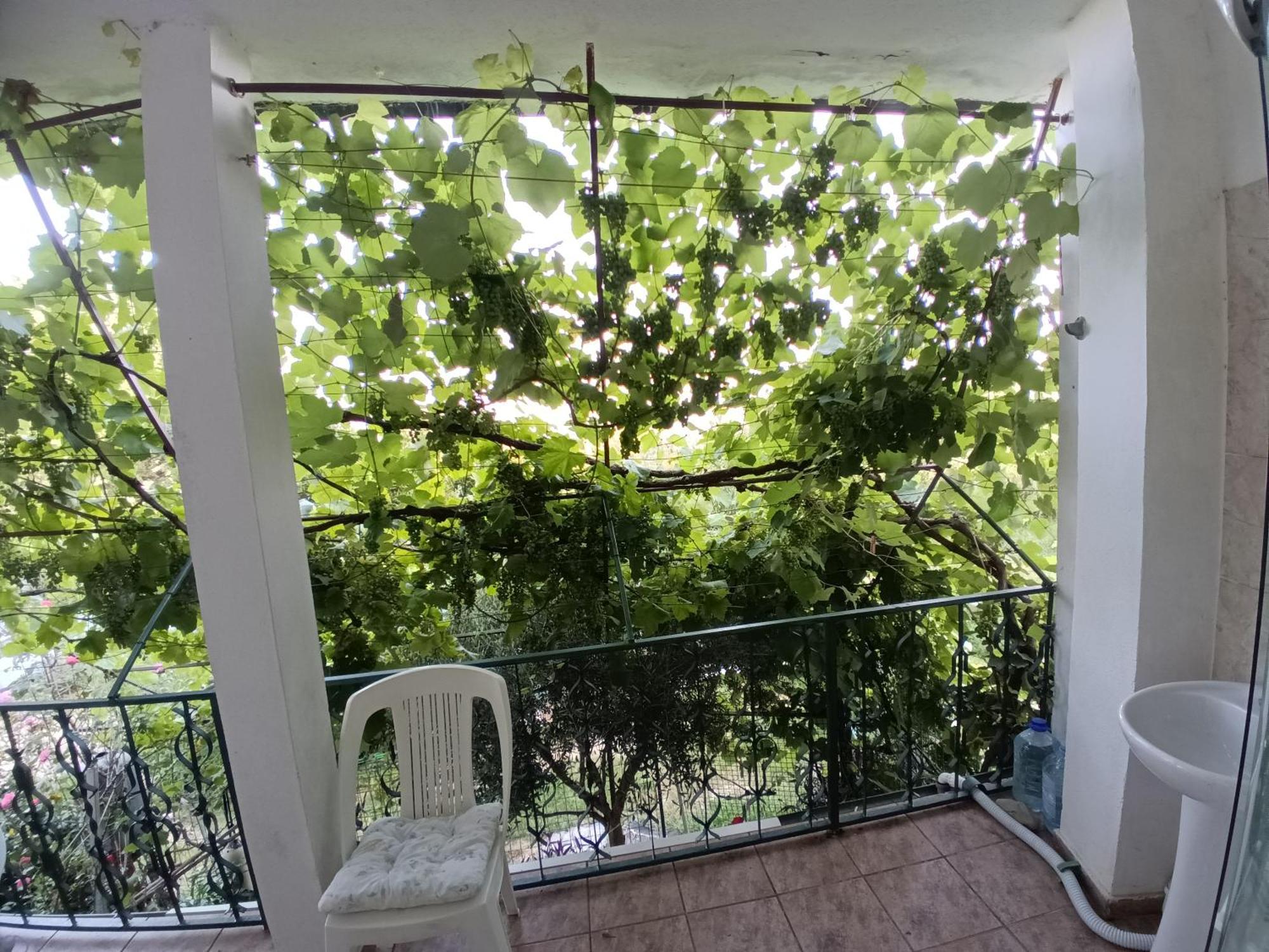 Zagradge I.N. Apartments Sutomore Dış mekan fotoğraf