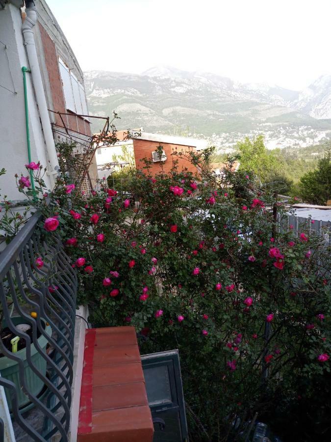 Zagradge I.N. Apartments Sutomore Dış mekan fotoğraf